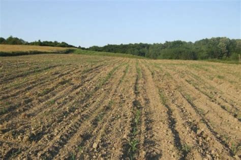 obradivo zemljiste  srbiji  za  evra hektar