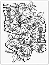 Coloring Pages Realistic Adults Color Adult Printable Print Butterfly sketch template