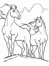 Colorir Cavalo Desenhos Stallion Ausmalbilder Cavalos Mustang Cheval Kolorowanki Cimarron Konie Malvorlagen Kolorowanka Cavalli Kleurplaten Caballo Ligne Caballos Horses Ausmalbild sketch template