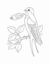 Hirondelle Coloriage Swallow sketch template