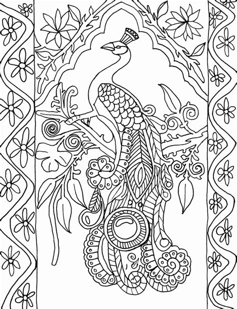 printable peacock coloring pages  kids