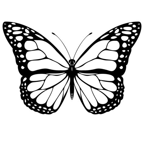 simple butterfly images clipart