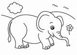 Thai Coloringtop Elephants sketch template