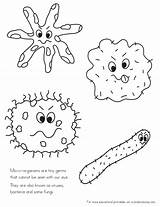 Bacteria Germs sketch template