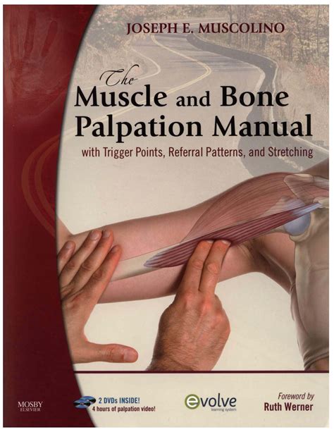 the muscle and bone palpation manual 2 dvd set avaxhome