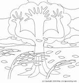 Roots Coloring Tree Designlooter sketch template