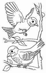 Vogels Kleurplaat Vogel Stemmen sketch template