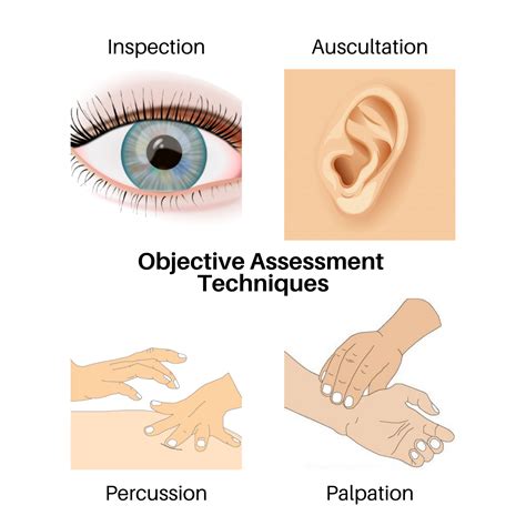 objective assessment physical examination techniques  nurses guide