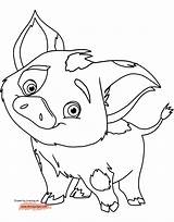 Moana Coloring Pages Disney Pua Pig Baby Color Cute Drawing Piggy Miss Printable Kids Guinea Picturethemagic Maui Printables Disneyclips Colouring sketch template