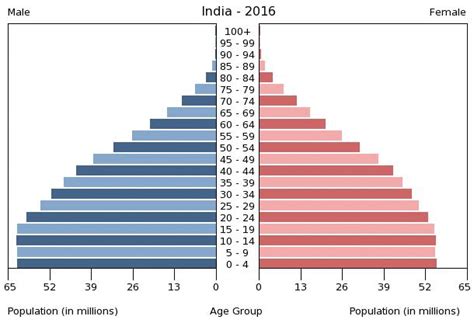 india age structure demographics