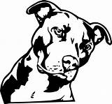 Pitbull Dog Pit Bull Clipart Clip Pitbulls Line Puppy Drawing Pitt Drawings Bully American Transparent Dogs Logo Pages Coloring Getdrawings sketch template