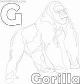 Gorilla sketch template