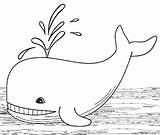 Whale Coloring Pages Sperm Drawing Line Printable Kids Cool2bkids Paintingvalley sketch template