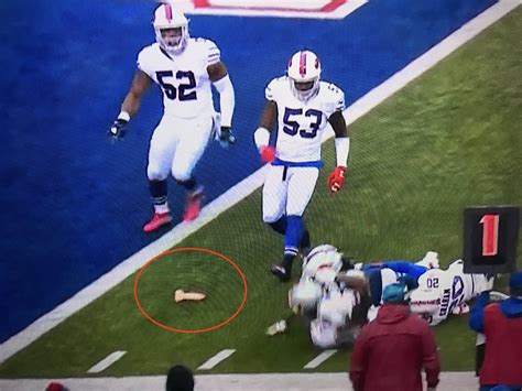 bills fans throw a dildo onto the field during game vs patriots daily