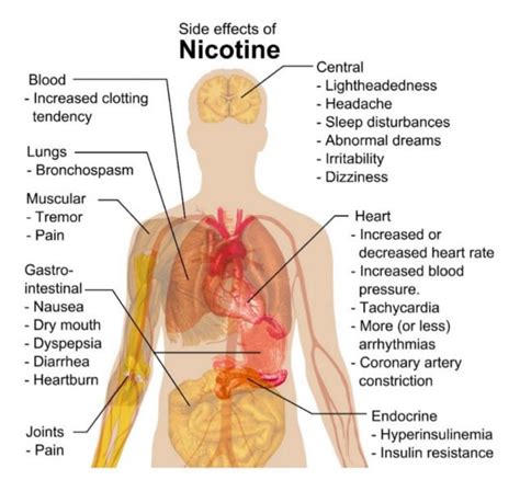 How Long Does Nicotine Stay In Your System Vapingdaily
