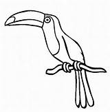 Beak Bird Template Craft Clipart Toucan sketch template
