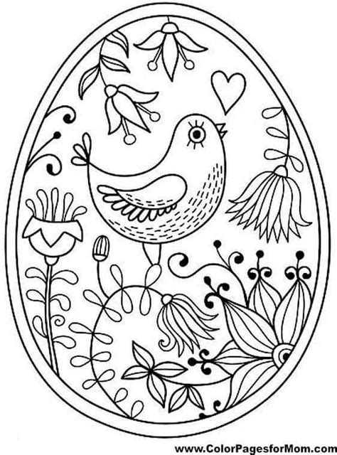 bird egg coloring page