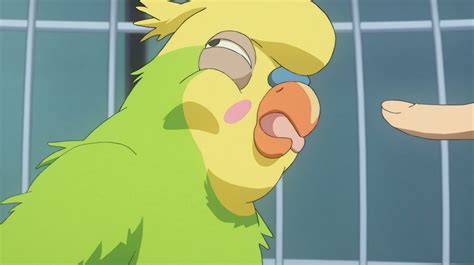 crunchyroll feature  anime birds   turkey day celebrations