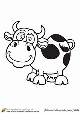 Vache Hugolescargot Ferme Dessiner Coloring Cows Sauvages Vaca Booklet Partager Faciles sketch template