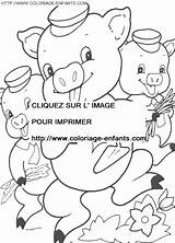 Coloring Pigs Three Little Pages Book sketch template