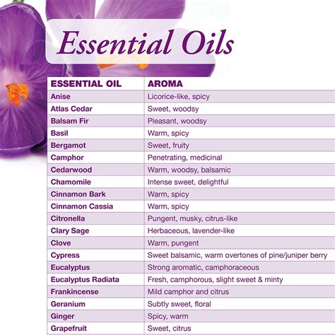 essential oil chart  foods