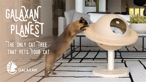 planest   cat tree  pets cats launches  kickstarter digital journal