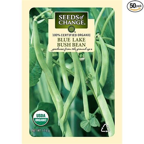 seeds  change certified organic blue lake bush bean companion