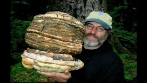 mushrooms  eat plastic petroleum