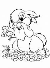 Bunny Coloring Pages Adults Flowers Printable Bunnies Getcolorings Colorings sketch template