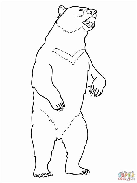 black bear coloring pages scenery mountains