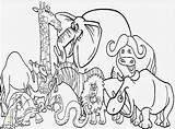 Coloring Pages Toes Printable Detailed Animal Divyajanani sketch template