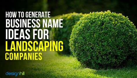 generate business  ideas  landscaping companies
