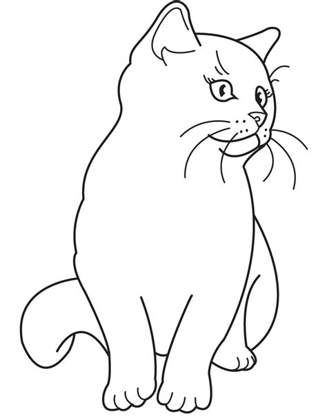discover perky cat drawing colouring page guaranteed  examine