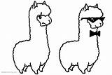 Coloring Pages Llamas Two Printable Adults Kids sketch template