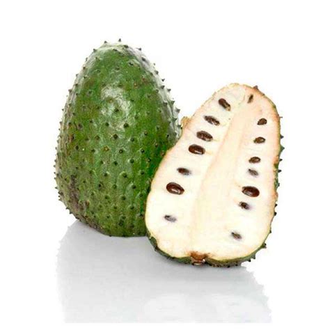 guanabana fruta undlb comervipccom