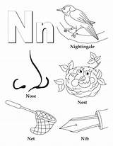 Coloring Getdrawings Nightingale sketch template