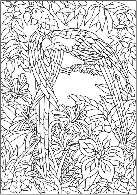 dover publications jungle coloring pages bird coloring