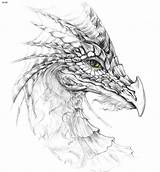 Dragon Coloring Pages Adult Realistic Drawing Color Sexy Dragons Kids Characters Face Adults Drawings Baby 4to40 Fantasy Gif sketch template