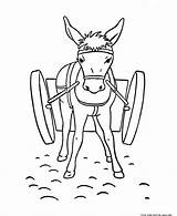 Donkey Esel Cart Animals Ausmalbilder Mule Colouring sketch template