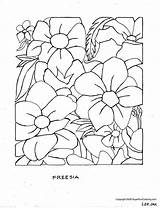 Coloring Pages Flower Printable Flowers Adults Sheets Color Print Easter Elderly Easy Large Books Hawaiian Seniors Summer Girls Colouring Sheet sketch template