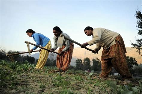 seed guardians meet  women  india   revolutionizing organic farming wake  world