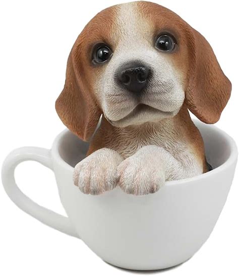amazoncom teacup beagle puppies