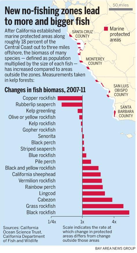 californias   fishing zones    working scientists