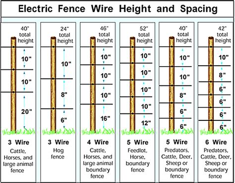 strands  rules  electric fencing