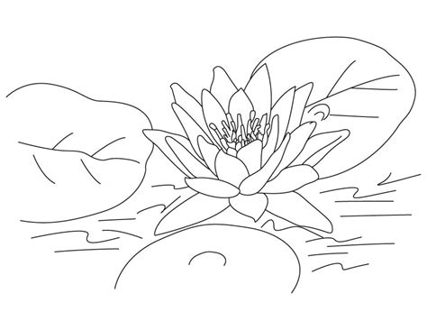 lotus flower coloring pages outline drawing clipart mandala simple