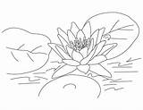 Lotus Coloring Pages Flower Printable Kids sketch template