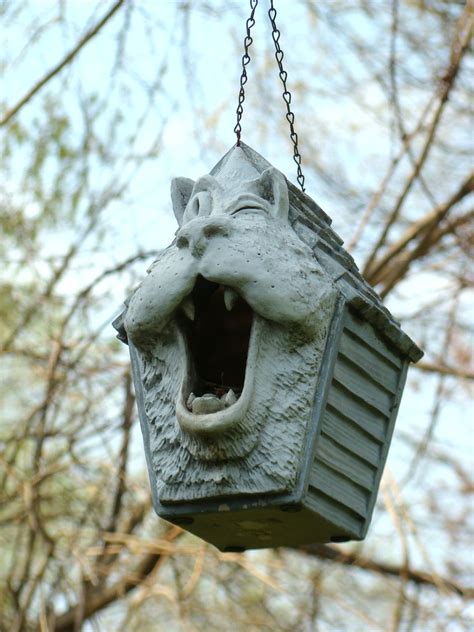 cat birdhouse bird houses bird house outdoor decor