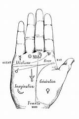Palmistry Palms Chiromancie Chiromancy Ll Astrology Mounts Pixfeeds Astrologybay Cfnm Tirer Also sketch template
