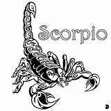 Skorpion sketch template