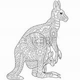 Kangaroo Coloring Zentangle Australian Adult Wallaroo Stylized Freehand Mandala Cub Sketch Mother Young Family Her Pages Aboriginal Ausmalbilder Ausmalen Designlooter sketch template